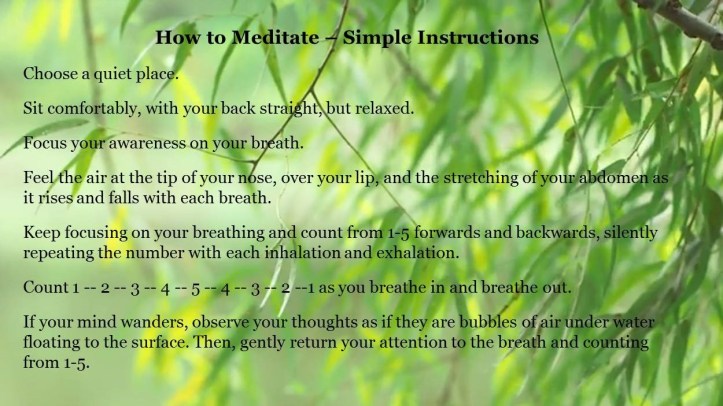 Meditation Simple Instructions